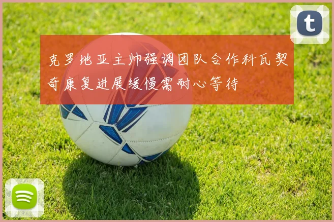 克罗地亚主帅强调团队合作科瓦契奇康复进展缓慢需耐心等待