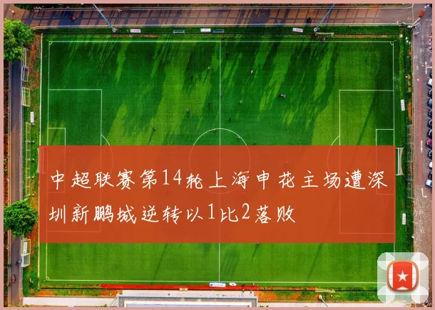 中超联赛第14轮上海申花主场遭深圳新鹏城逆转以1比2落败