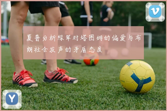 夏普分析绿军对塔图姆的偏爱与布朗社会发声的矛盾态度